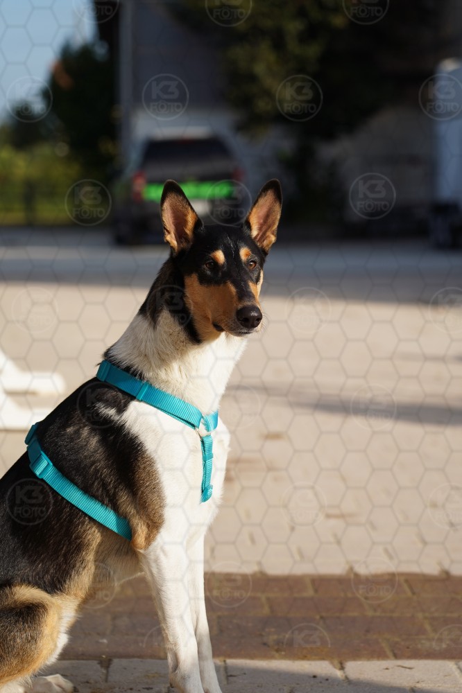 s_A7_00795.JPG